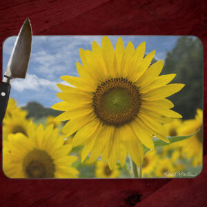 Cutting Boards